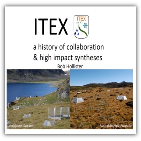 ITEX synthesis History